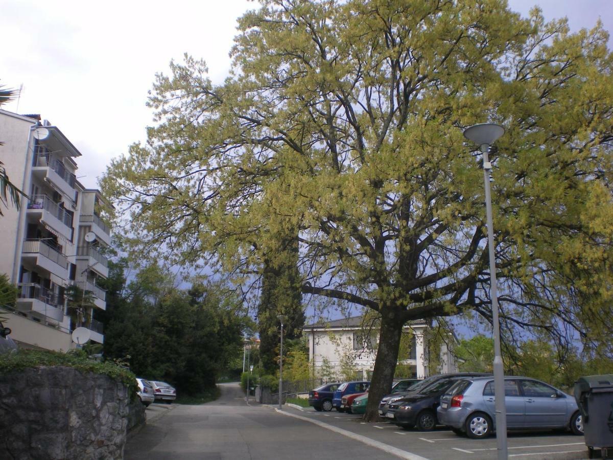 Apartment Nadia 洛夫兰 外观 照片