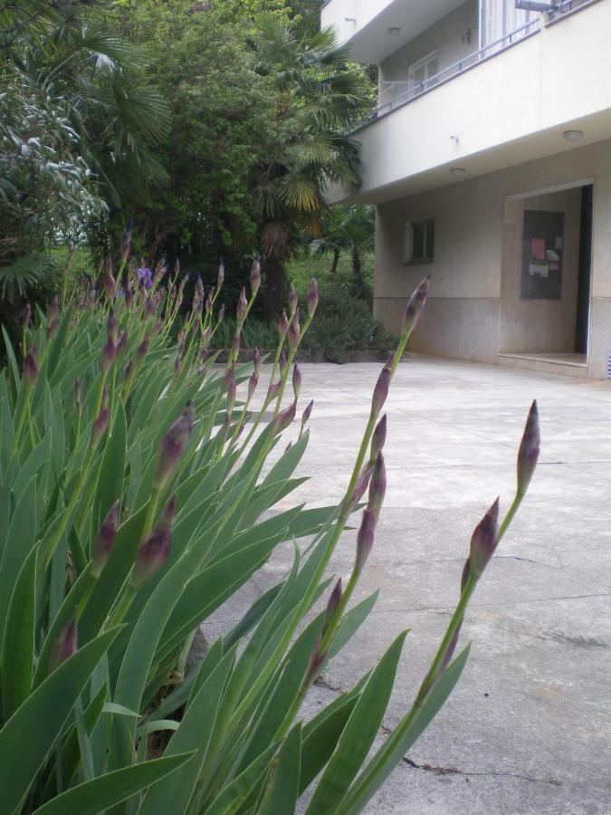 Apartment Nadia 洛夫兰 外观 照片